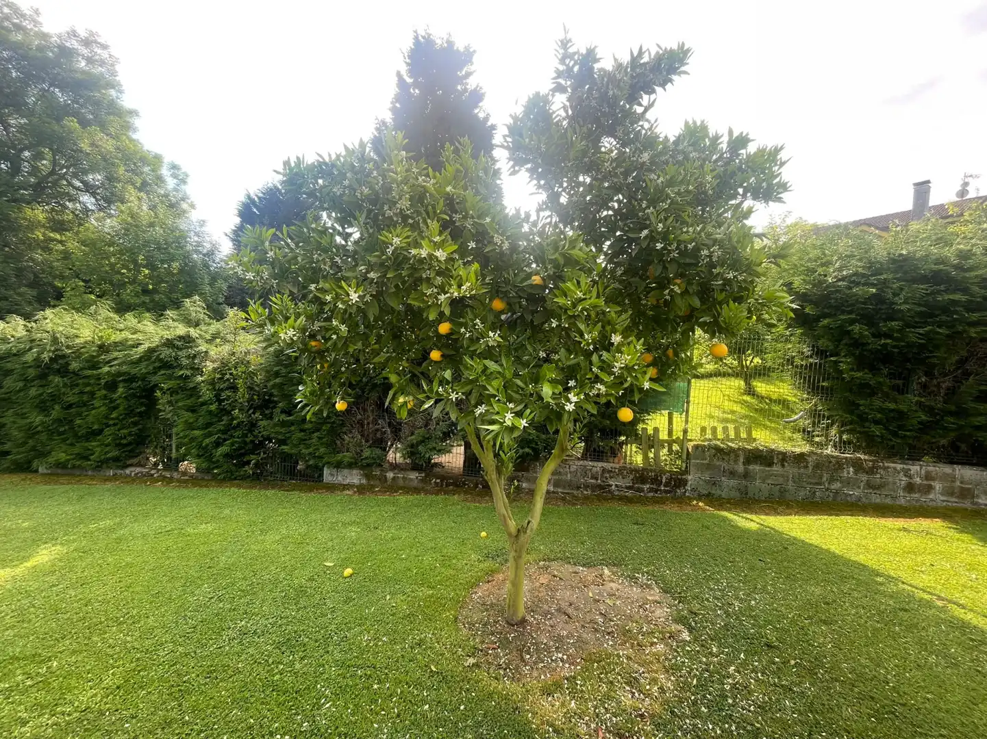 Jardí de Casa o xalet en venda en Oviedo  amb Calefacció, Jardí privat i Parquet