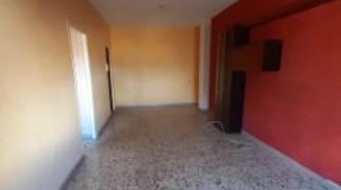 CalasparraPiso, imagen 2