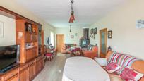 Sala d'estar de Casa o xalet en venda en Huéscar amb Jardí privat, Terrassa i Traster