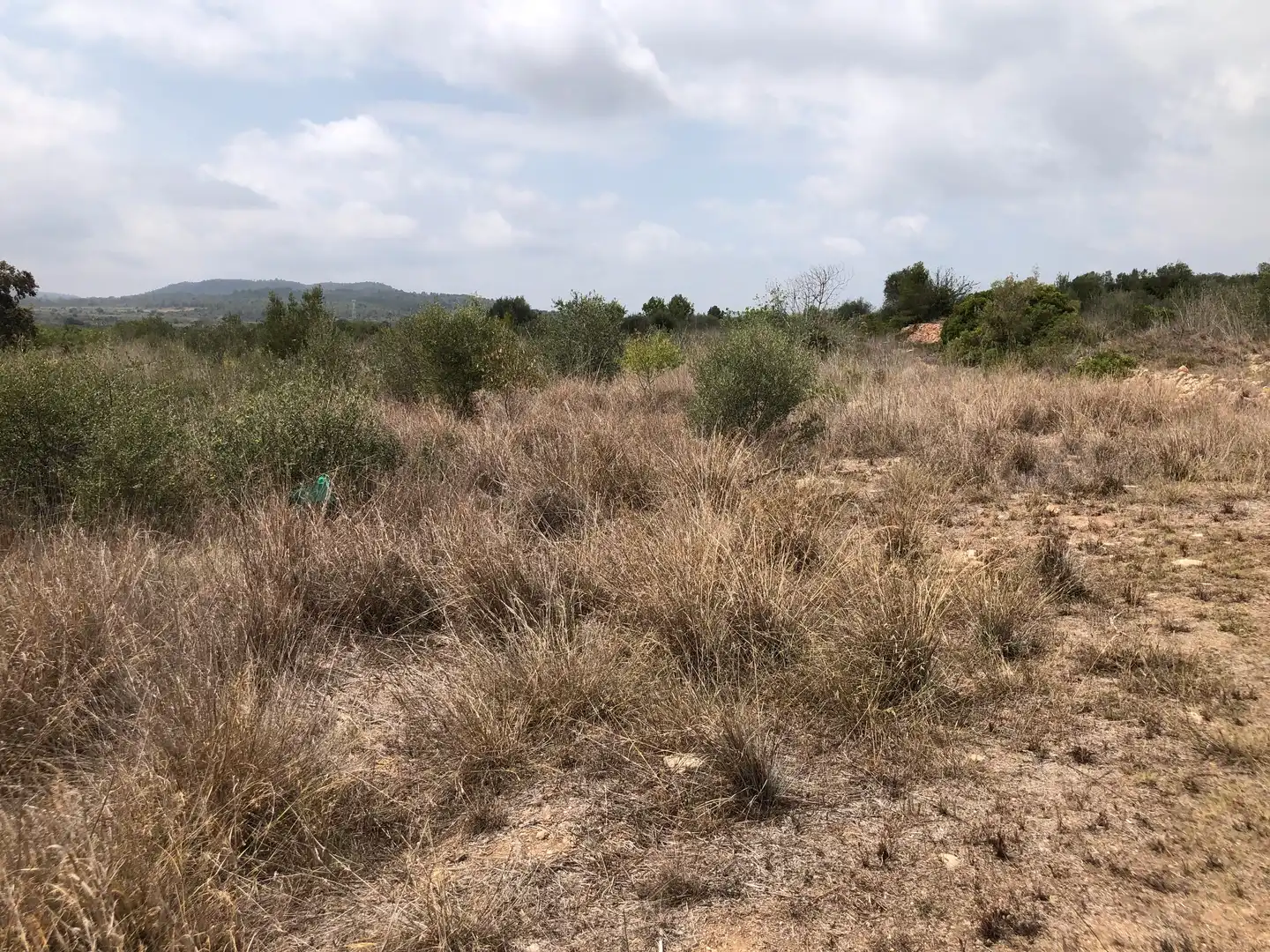 Terreno rústico en venta en Camí de Masllorenç, imagen 6