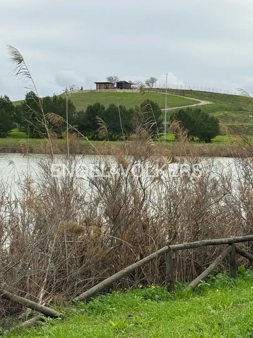 Terreni e lotti in vendita a Jerez Sur, imagen 7