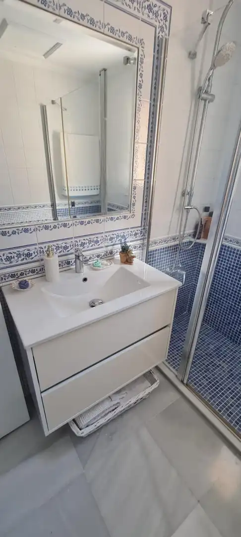 Bany de Casa o xalet en venda en San Fernando amb Aire condicionat, Calefacció i Jardí privat