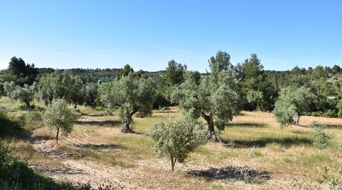 Finca rústica en Cretas
