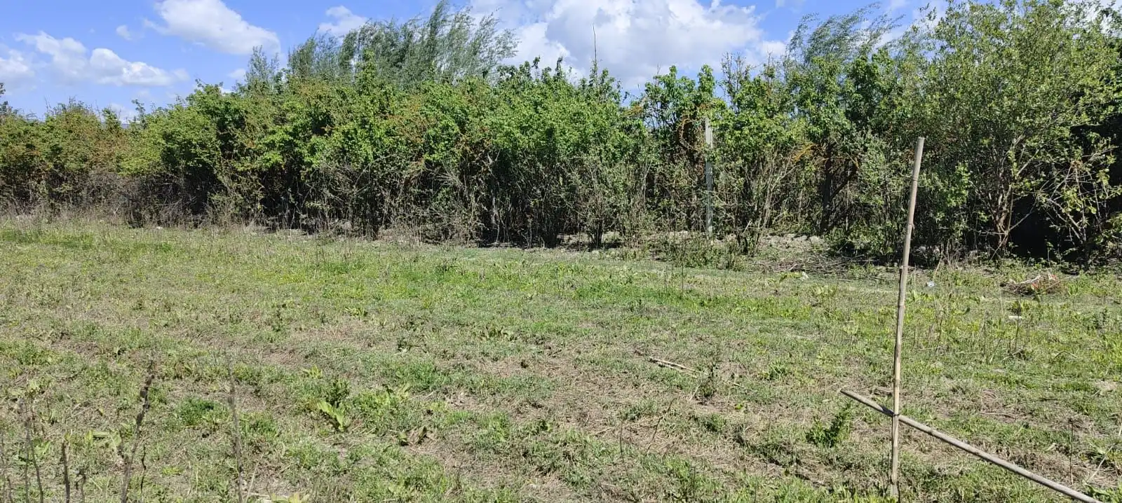 Terrains et parcelles à vendre à Fuente Vaqueros, imagen 9