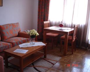 Living room of Flat to rent in  Madrid Capital  with Air Conditioner and Terrace