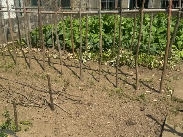 Casa a schiera con giardino in vendita a Glorieta Ferreira, imagen 64