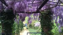 Garden of Flat to rent in Girona Capital  with Air Conditioner, Heating and Terrace