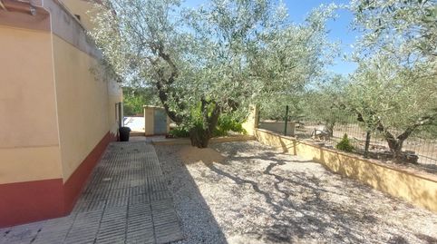 Finca Rústica con Encanto en El Perelló  Oportunidad Única, immagine 3