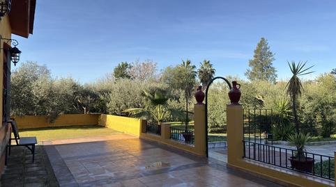 Foto 2 de Finca rústica en venta en Las Cabezas de San Juan, Sevilla