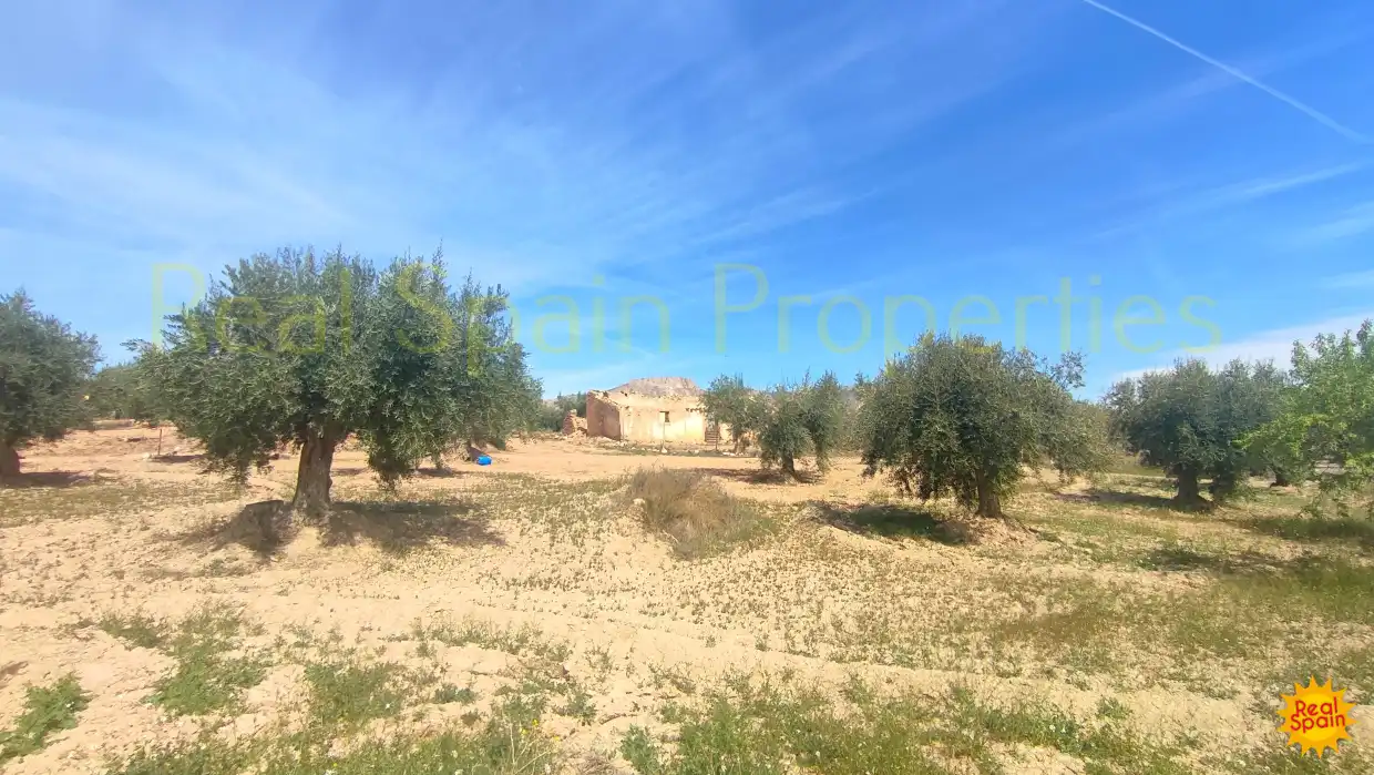 Residential land for sale in Vélez-Rubio, imagen 17