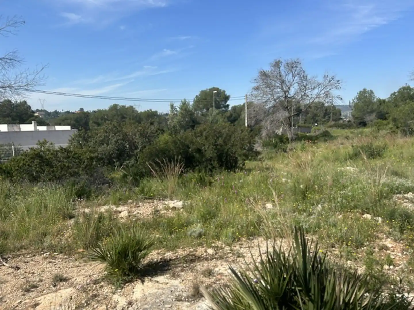 Terreny residencial en venda a Carcaixent, imagen 8