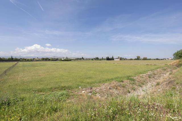 Terreno en Venta en Calle Almaciles, 13 en Camino de los Neveros - Serrallo