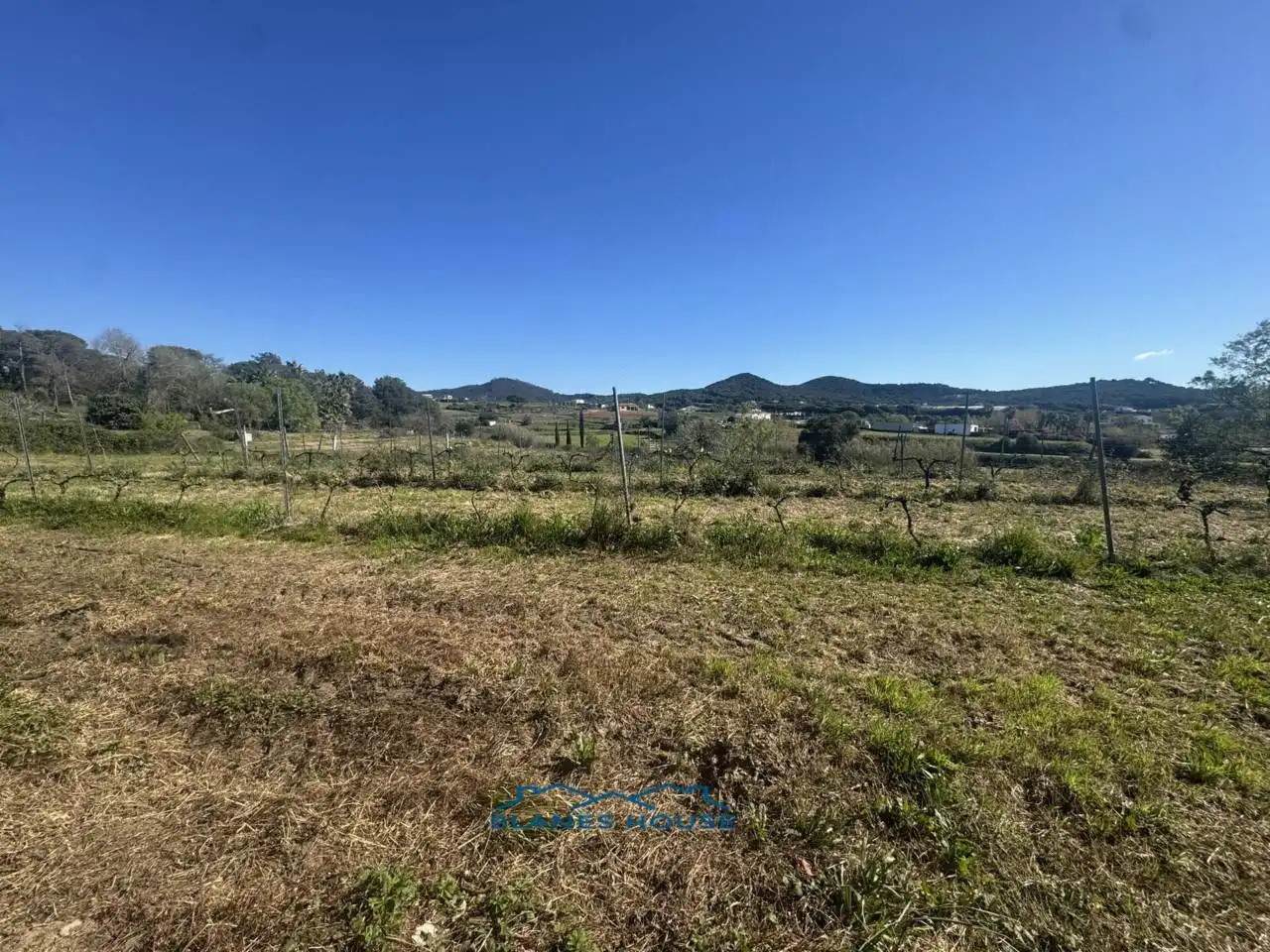 Terreno rustico in vendita a Calle Bosch Rabasa 1, imagen 24