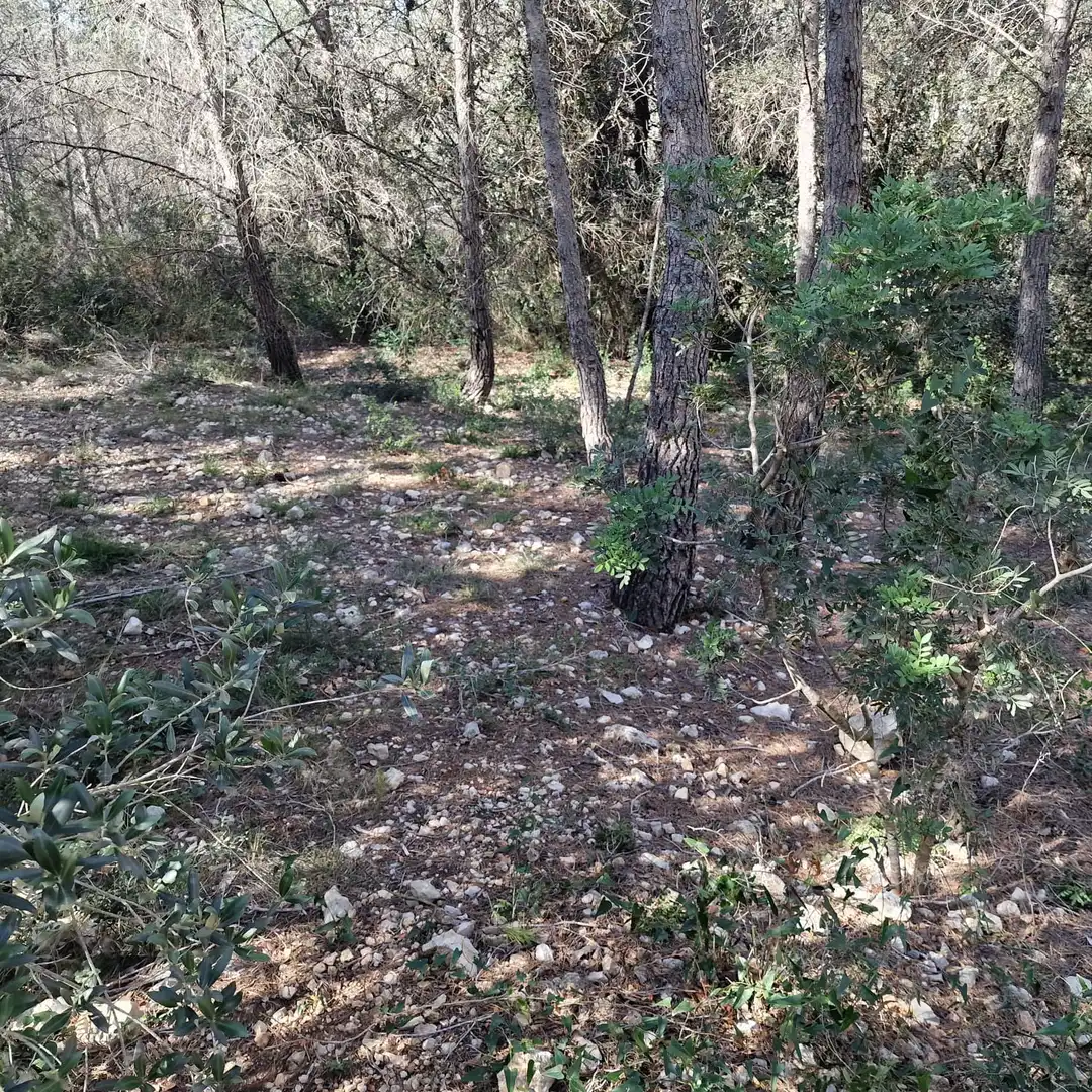 Terreno residencial en venta en Carrer Gessamí 18, imagen 17