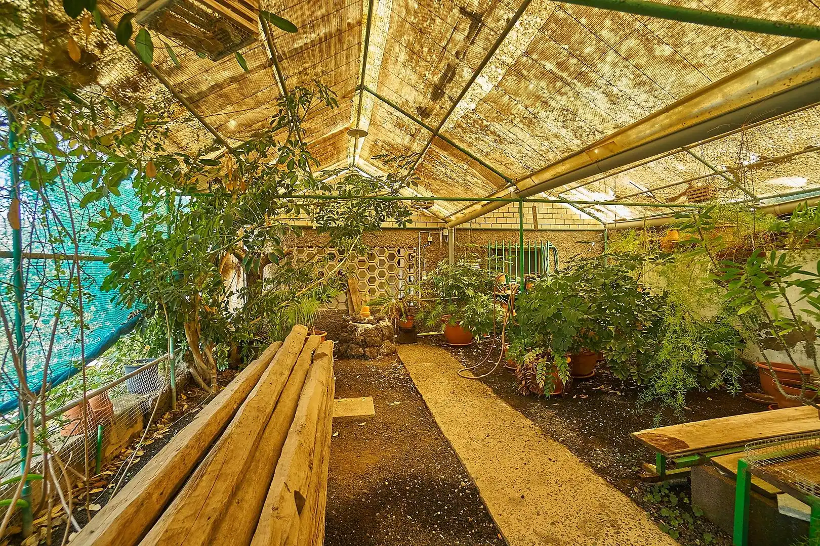 Jardí de Casa o xalet en venda en Santa Brígida amb Jardí privat, Terrassa i Balcó