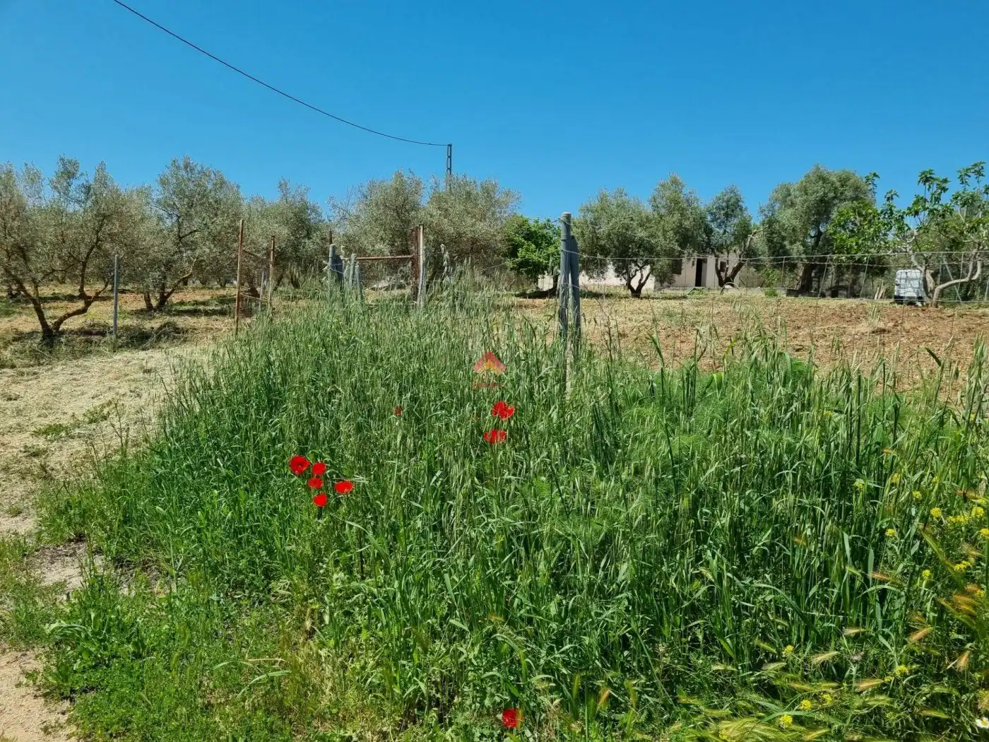 Terreni e lotti in vendita a Casco Histórico, imagen 13