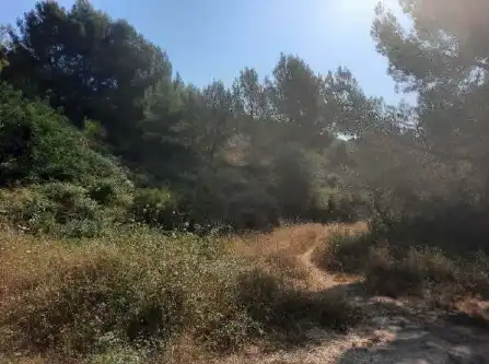 Terreny rústic en venda a Pt Urbanización La Almazara, imagen 15