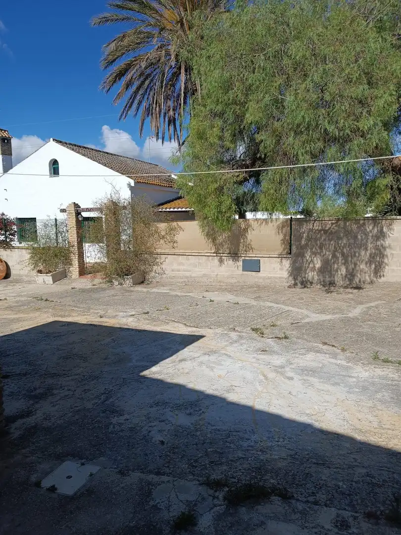 Vista exterior de Casa o chalet en venta en Puerto Real