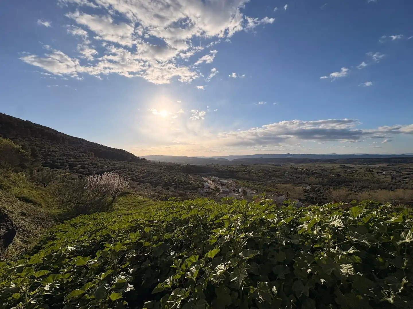 Vista exterior de Casa o xalet en venda en Agres amb Terrassa i Balcó