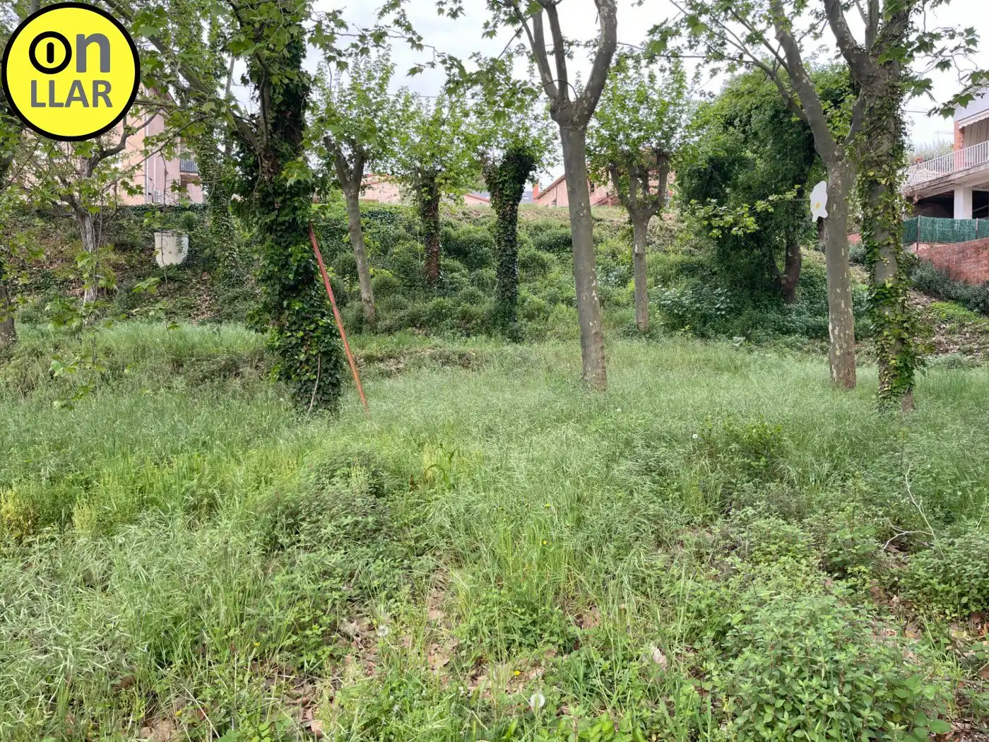 Residential land for sale in Calle Alzina, imagen 20
