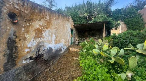 Foto 5 de Finca rústica en venta en Tacoronte - Los Naranjeros, Tacoronte