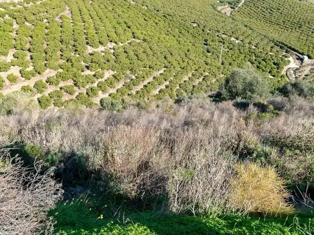 Terreni e lotti in vendita a Torrox Pueblo, imagen 6