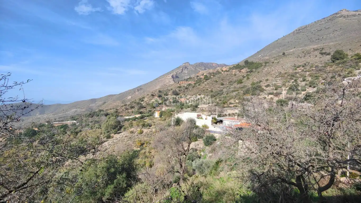 Vista exterior de Finca rústica en venta en Vélez de Benaudalla
