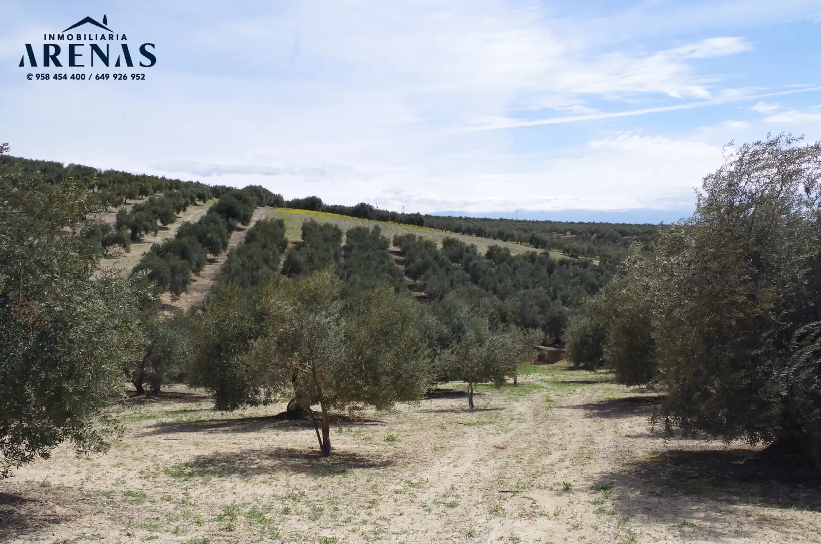 Residential land for sale in Íllora, imagen 2