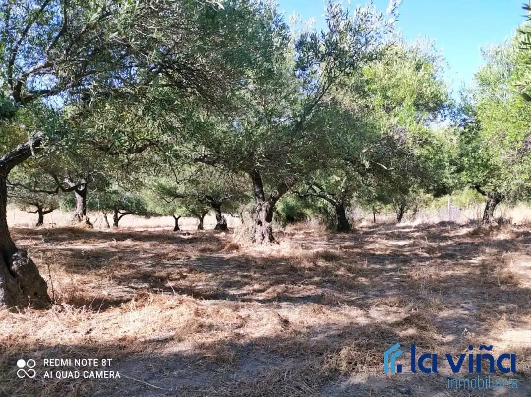 Residential for sale in Jimera de Líbar