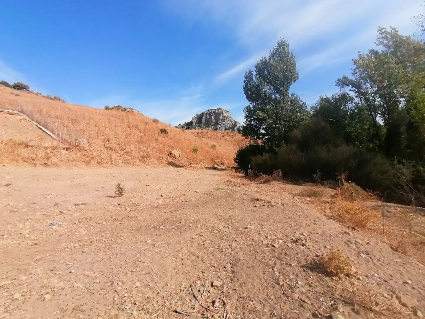 Terreno en venta en Ardales