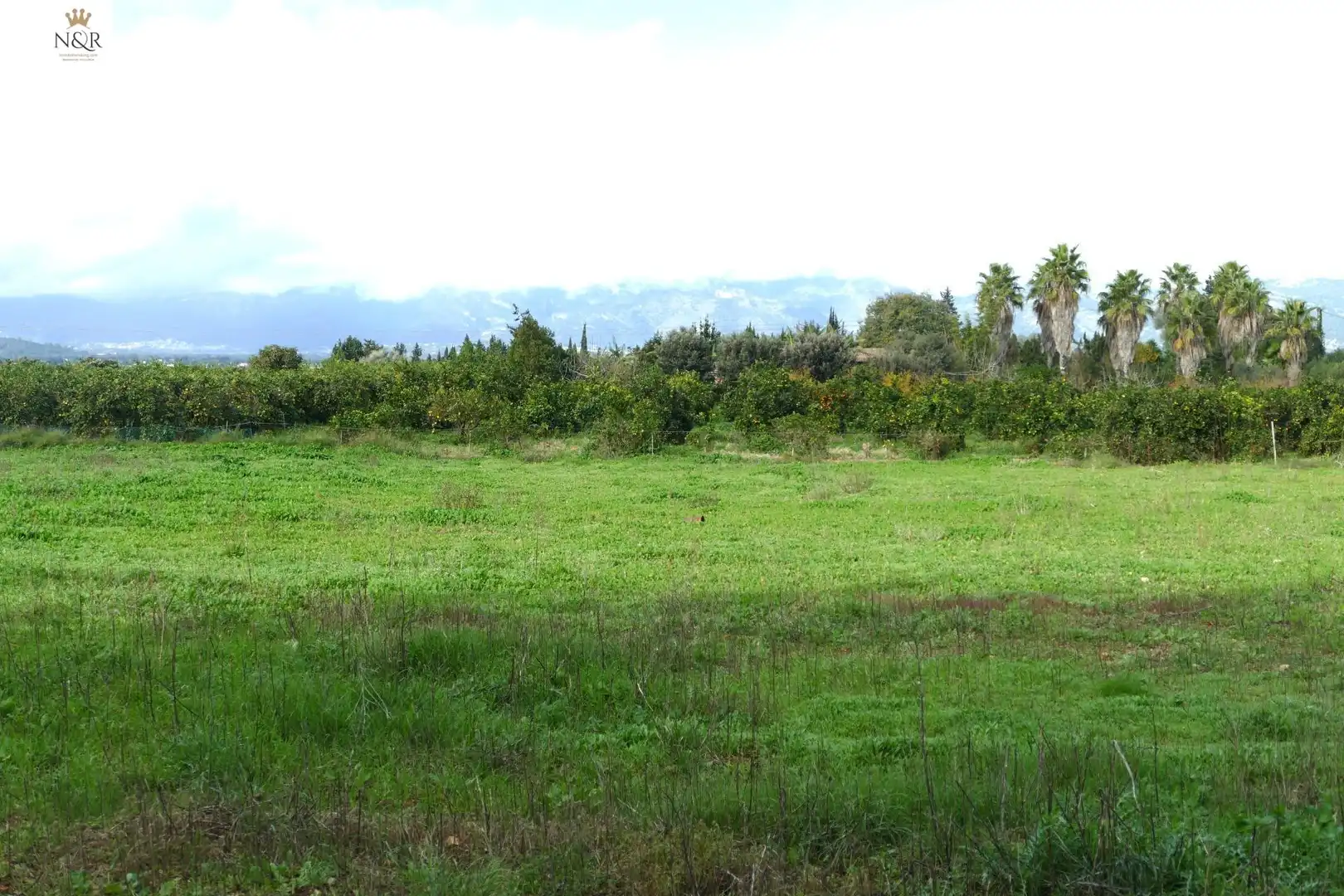 Finca rústica en venta en Llubí