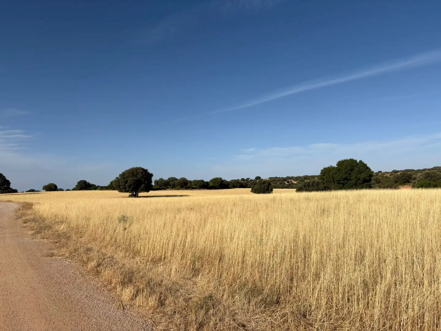 Country homes for sale in Ruidera