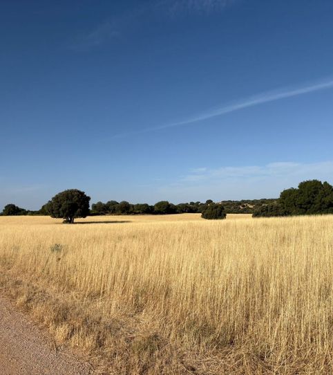 Foto 2 de Finca rústica en venta en Ruidera, Ciudad Real