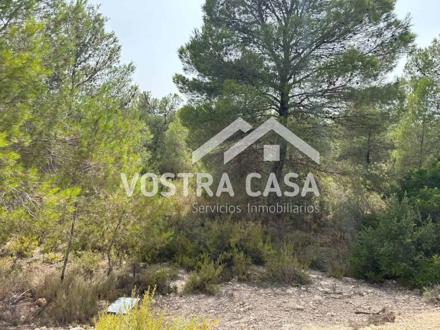 Terreno en venta en Chiva
