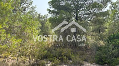 Foto 4 de Terreny en venda a Veintisiete, -1, Los Felipes - Corral de Carmelo, Chiva