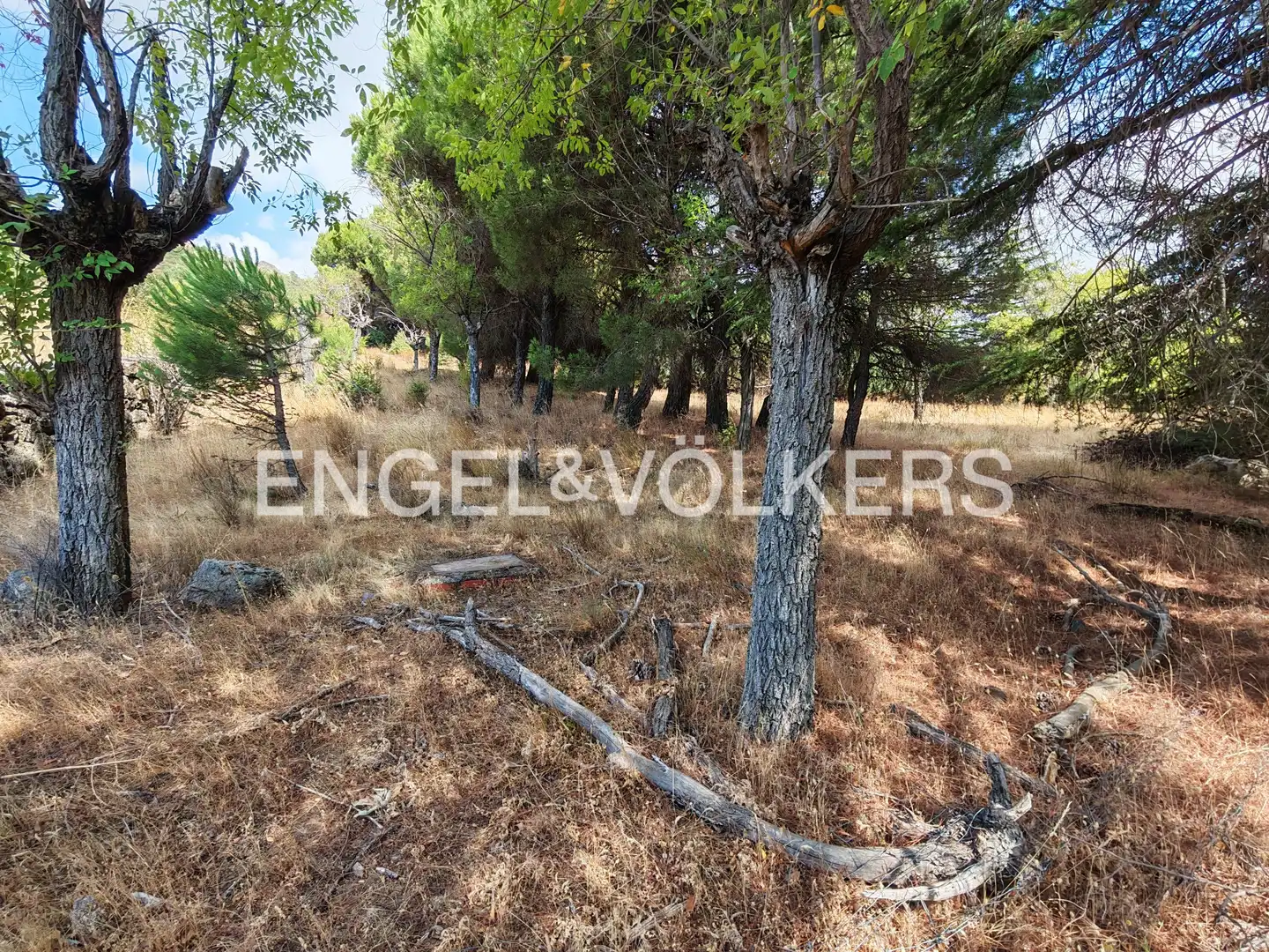 Residential land for sale in Collado Mediano, imagen 12