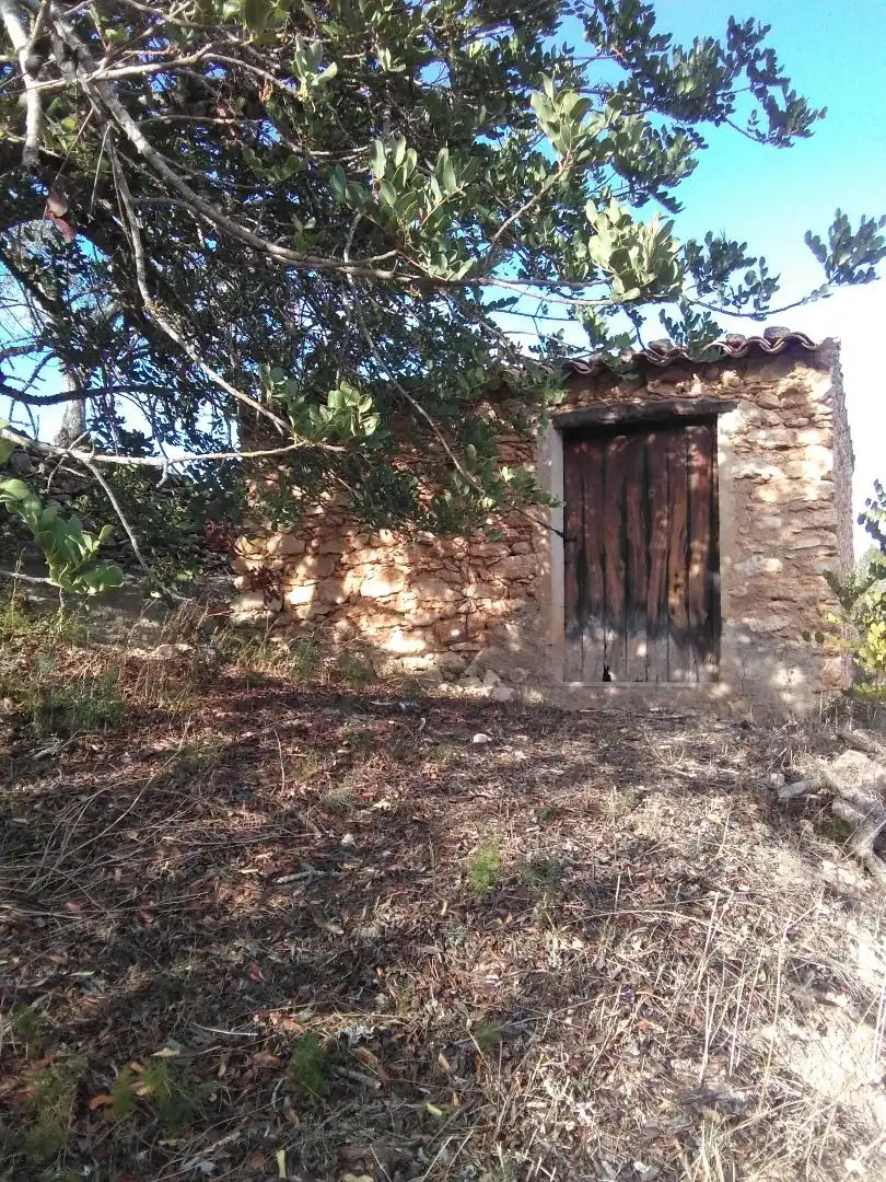 Country homes for sale in El Pinell de Brai