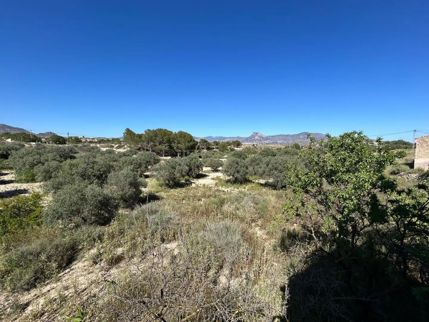 Casa rústica amb jardí en venda a Monóvar  / Monòver, imagen 41