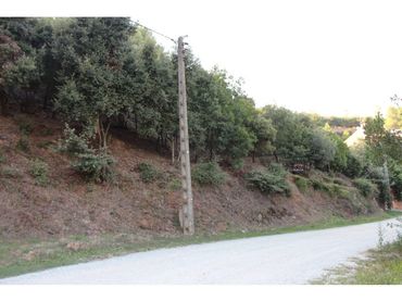 Terreno rustico in vendita a Calle VIA AUGUSTA 41