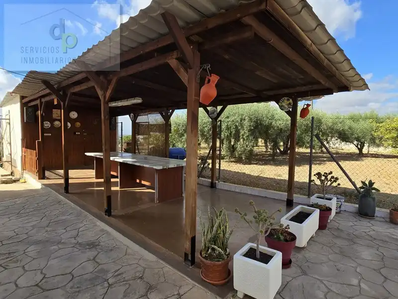 Jardí de Casa o xalet en venda en Elche / Elx amb Aire condicionat, Jardí privat i Terrassa