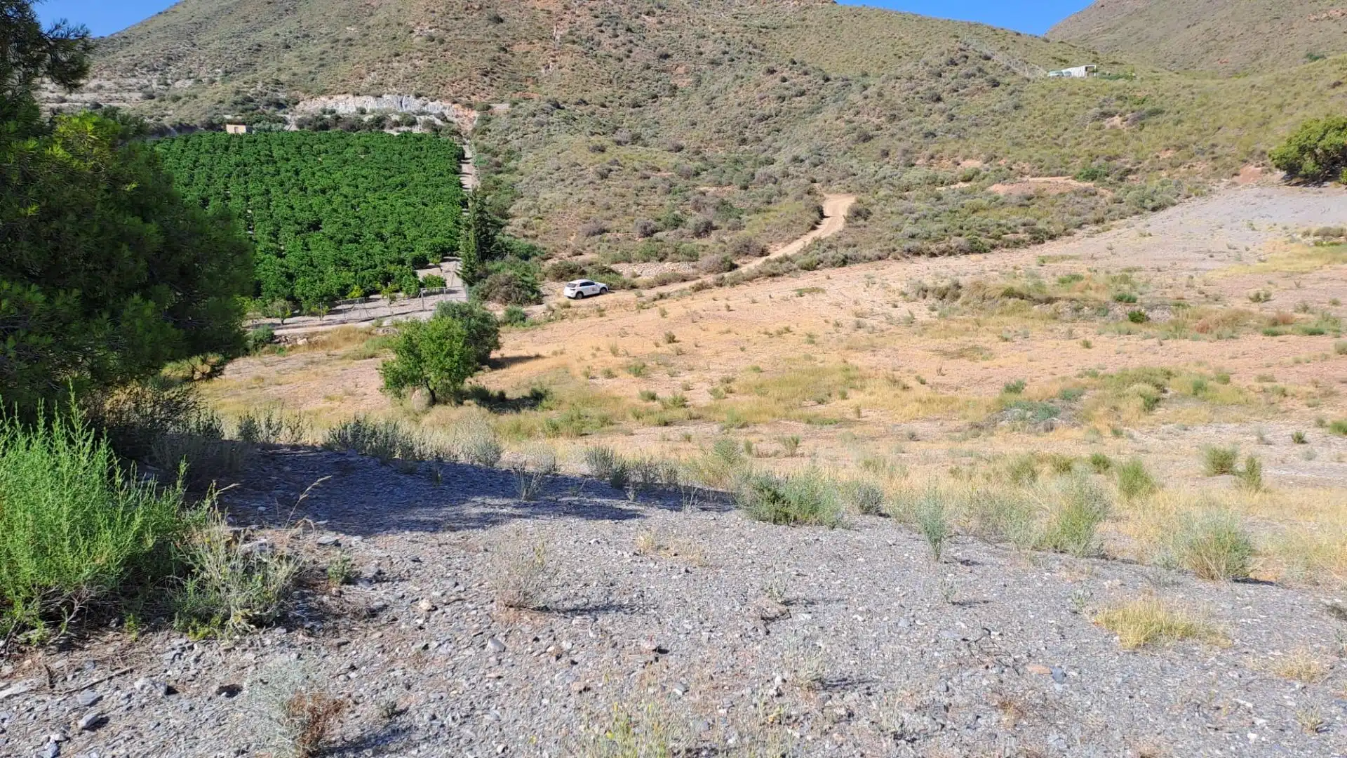 Terreny rústic en venda a Tébar - Los Arejos, imagen 5
