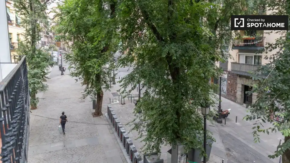 Piso con terraza en alquiler en Centro, imagen 8