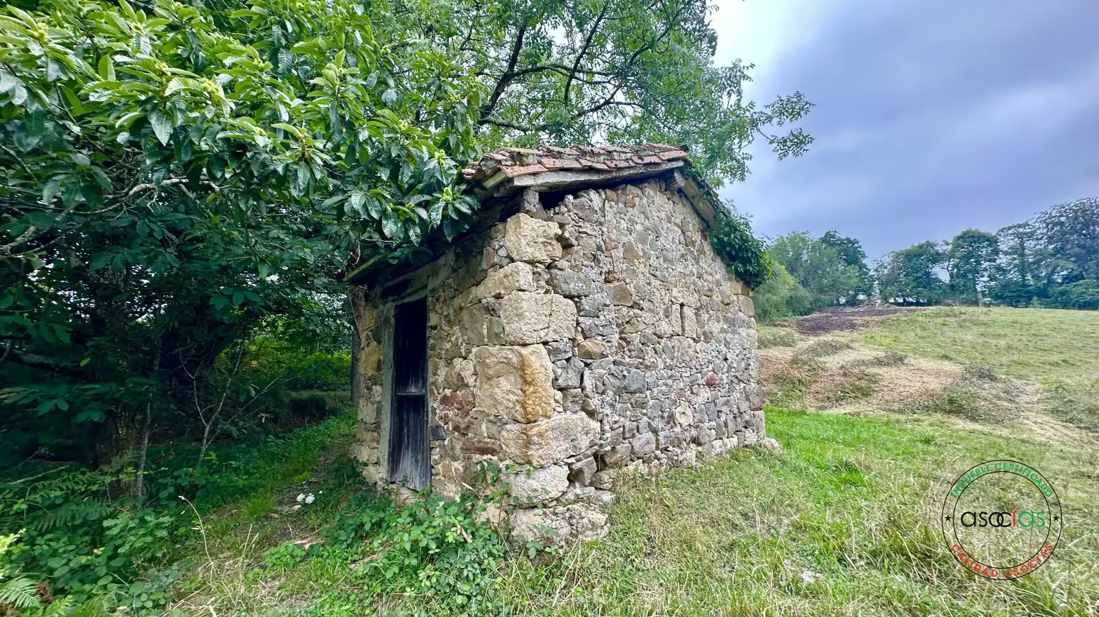 Terreno rustico in vendita a Cabranes - TORAZO, imagen 11