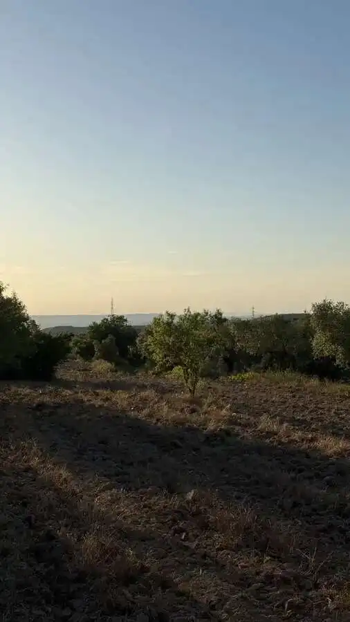 Casa o xalet en venda en La Fatarella amb Jardí privat