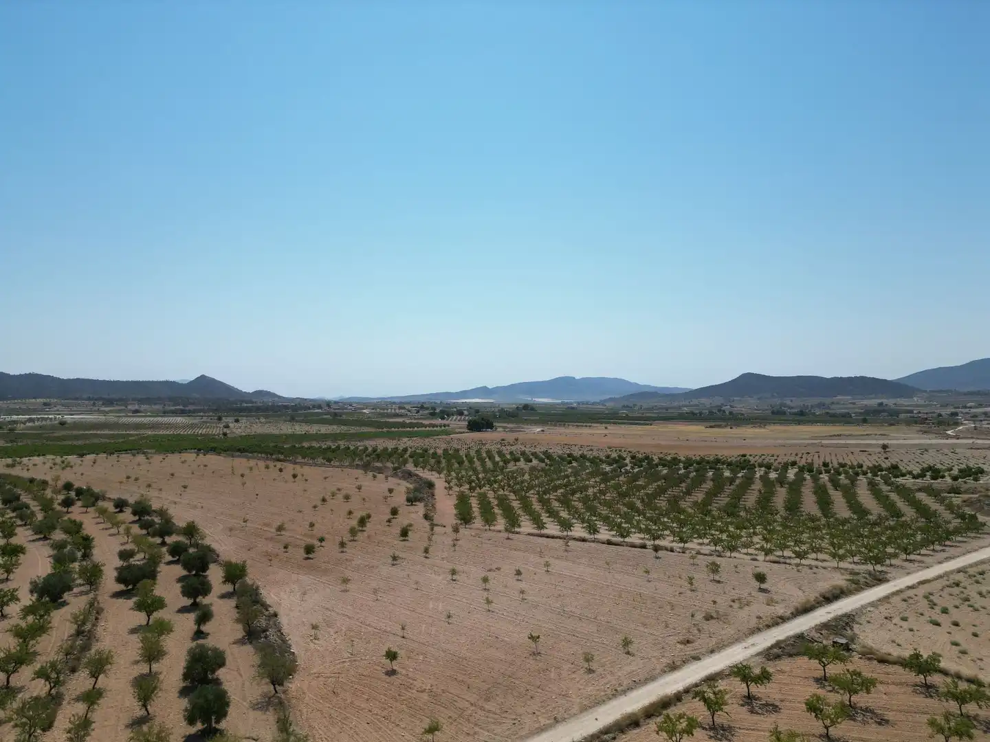 Terreno residencial en venta en El Pinós / Pinoso, imagen 9