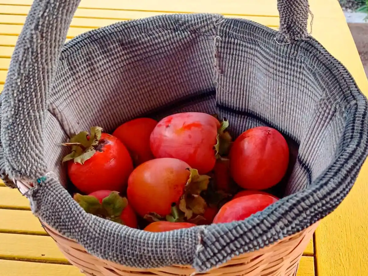 Jardín de Finca rústica en venta en Polop
