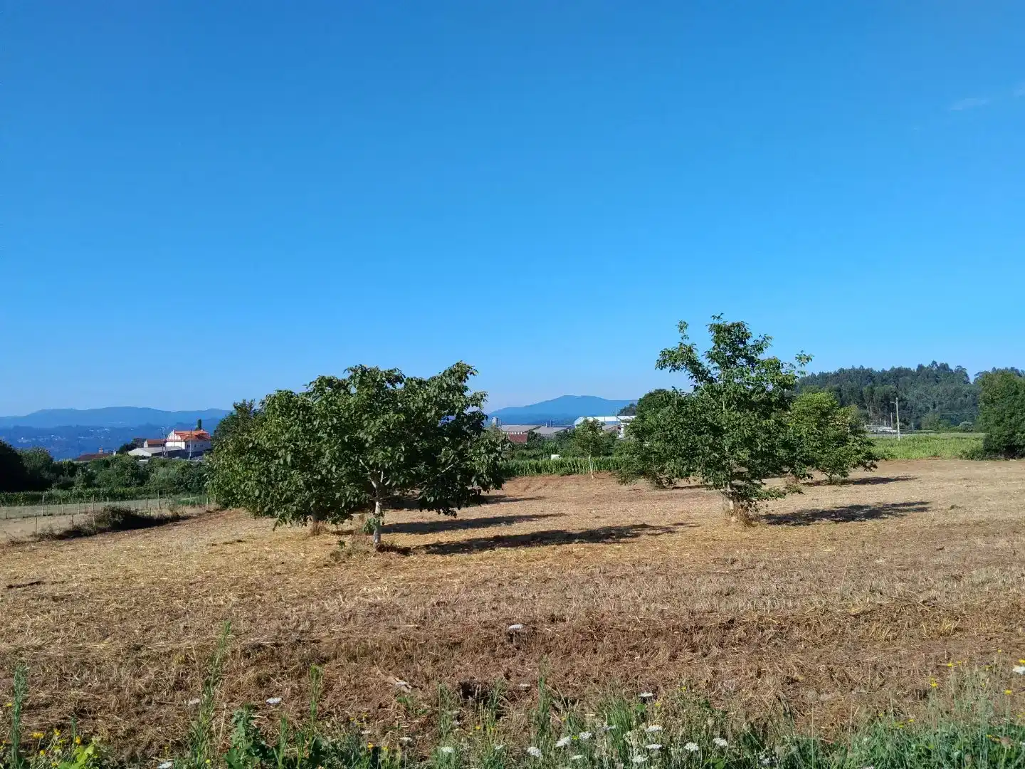 Finca rústica en venda en Vedra