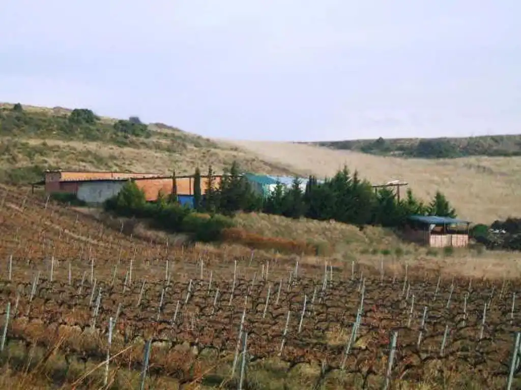 Terreny rústic en venda a EL GANCHO SN, imagen 4