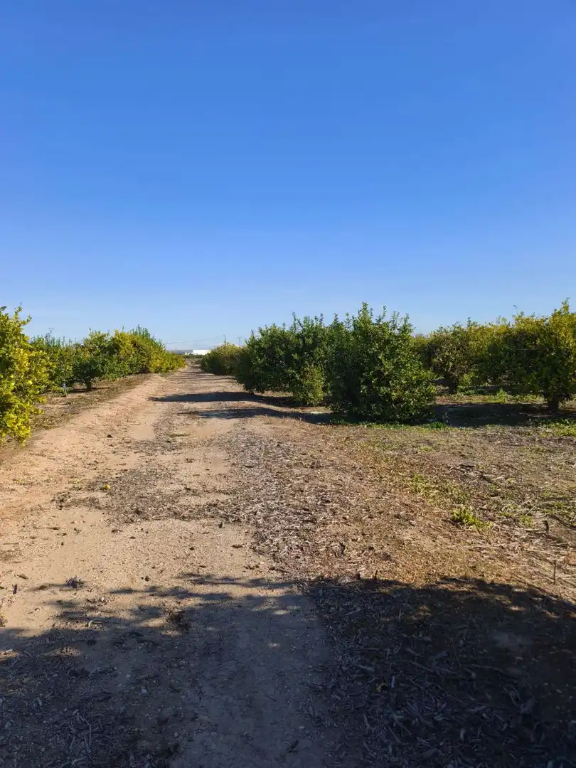 Country homes for sale in Librilla
