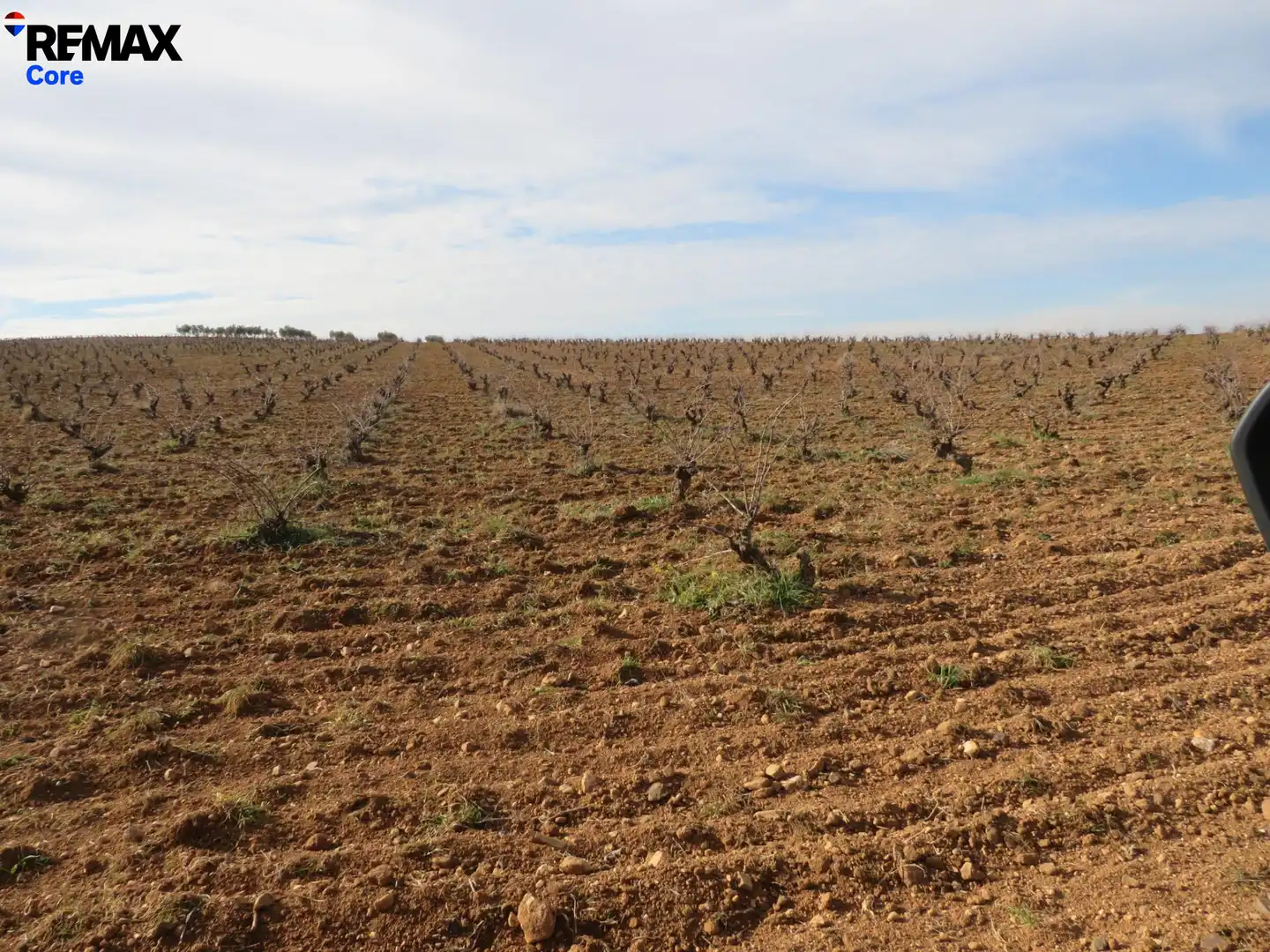 Grundstücke zum Verkauf in La Zarza (Badajoz)